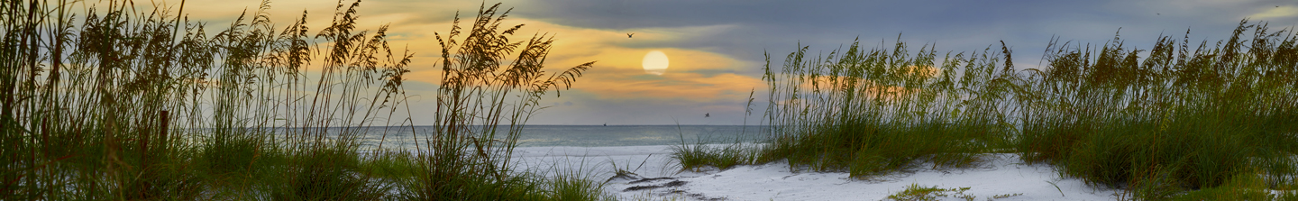 A white, sandy beach in Florida at dusk, seen through some sand dunes with tall grasses to the ocean beyond
