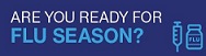 Flu season logo